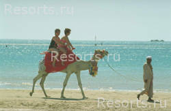 Creative Grand Sharm Resort 7